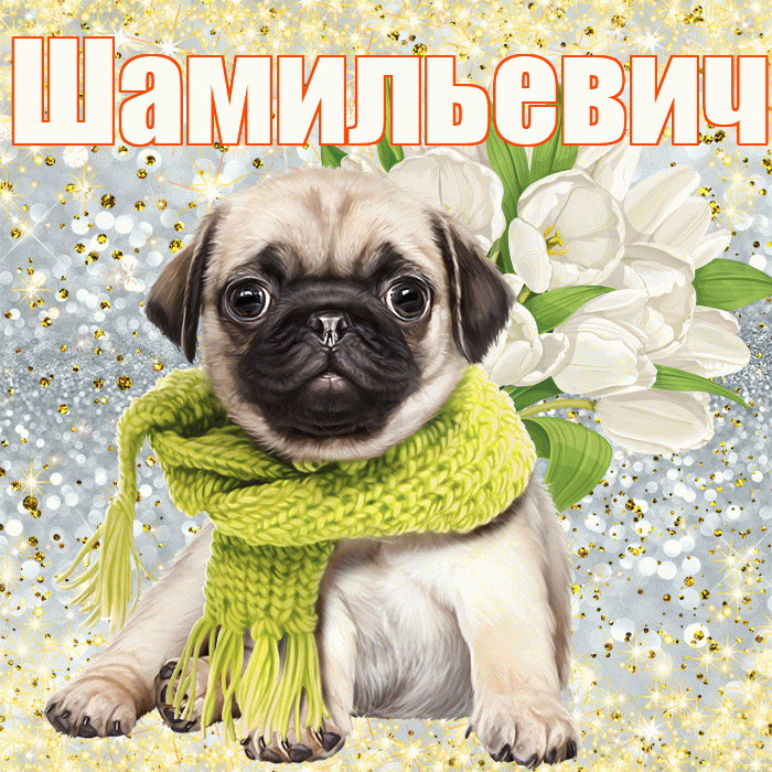 Шамильевич! С первым воскресеньем весны! Красивая открытка Шамильевичу!