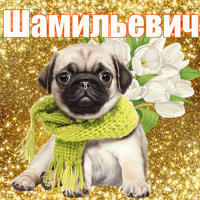 Шамильевич! С первым воскресеньем весны! Красивая открытка Шамильевичу!