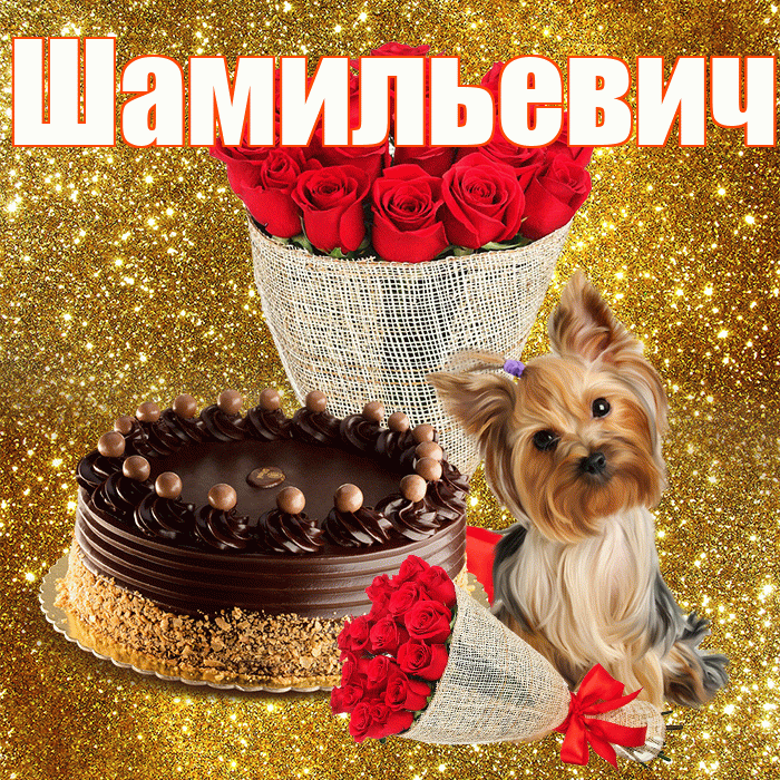 Шамильевич! С первым воскресеньем весны! Красивая открытка Шамильевичу!