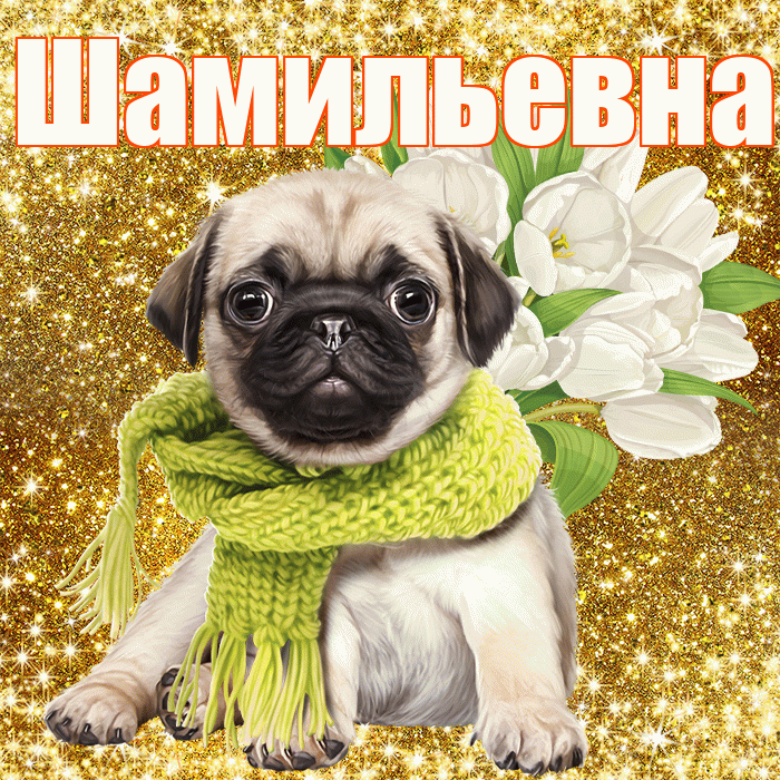 Шамильевна! С первым воскресеньем весны! Красивая открытка Шамильевне!