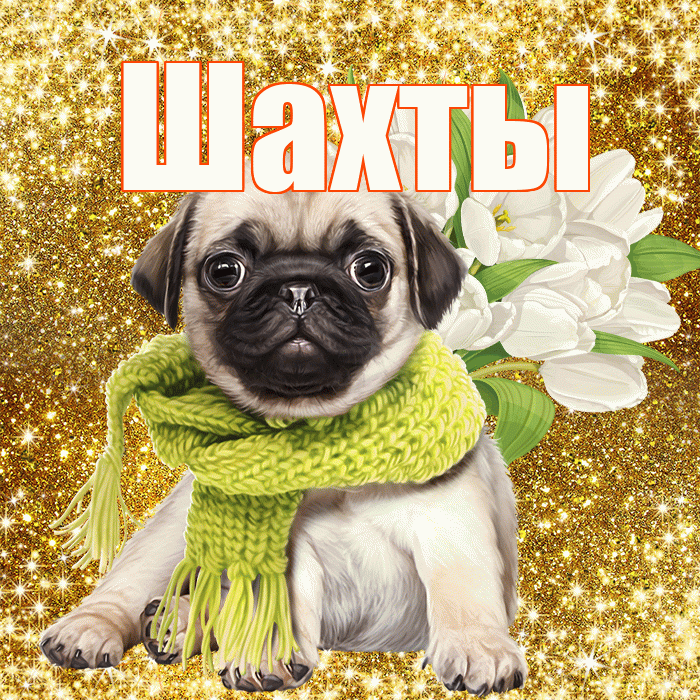 Шахты! С первым воскресеньем весны! Красивая открытка Шахты!