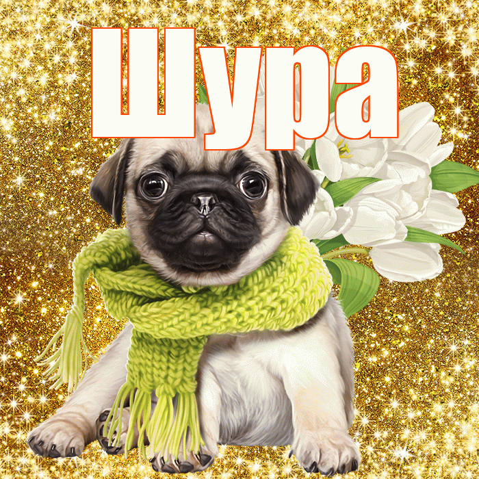 Шура! С первым воскресеньем весны! Красивая открытка !