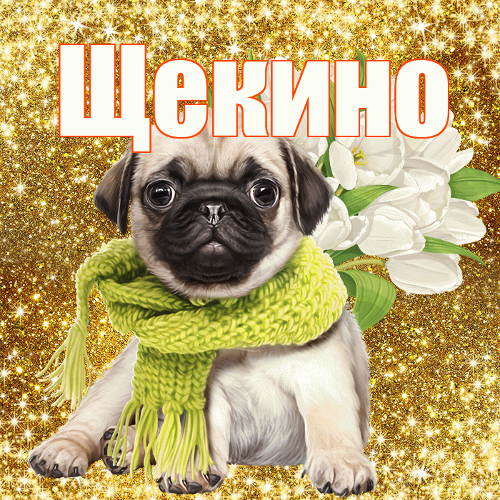 Щекино! С первым воскресеньем весны! Красивая открытка Щекино!