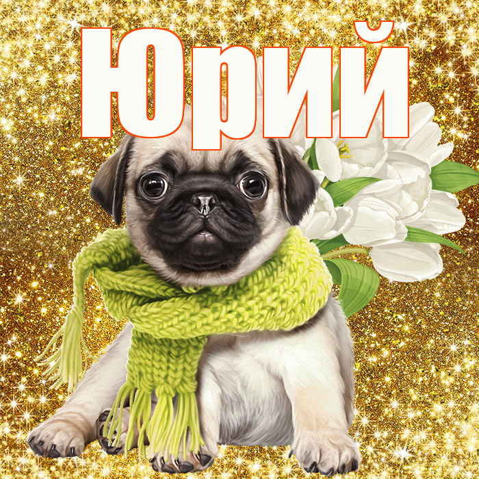 Юрий! С первым воскресеньем весны! Красивая открытка Юрию!