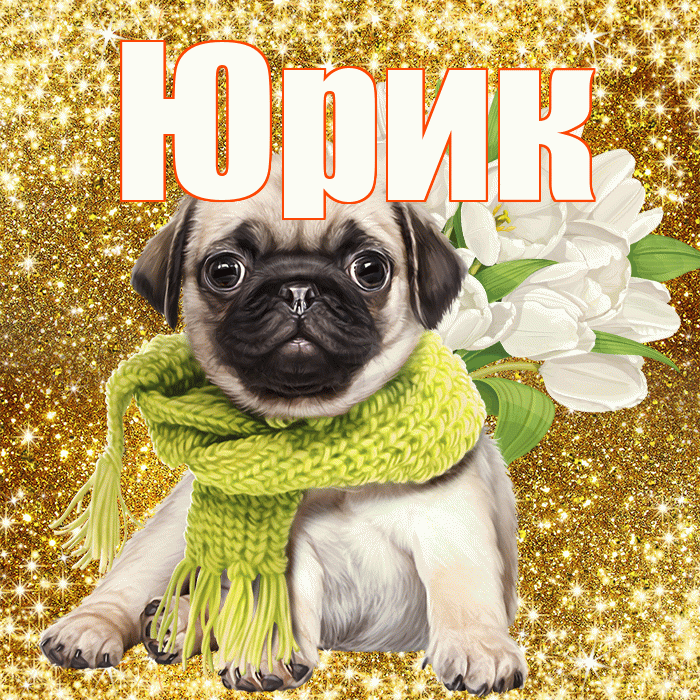 Юрик! С первым воскресеньем весны! Красивая открытка !