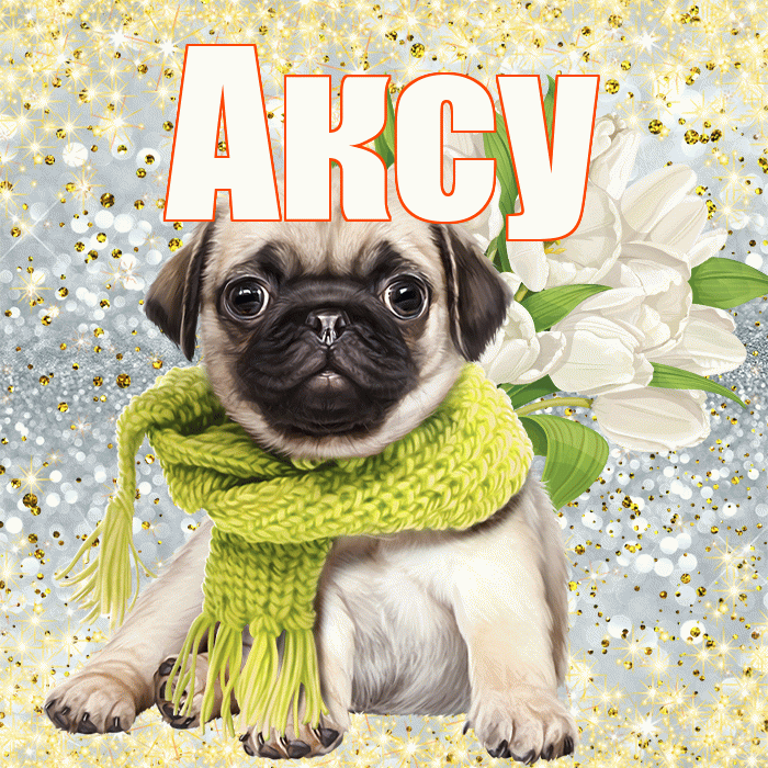 Аксу! С первым днем весны! Красивая открытка Аксу!