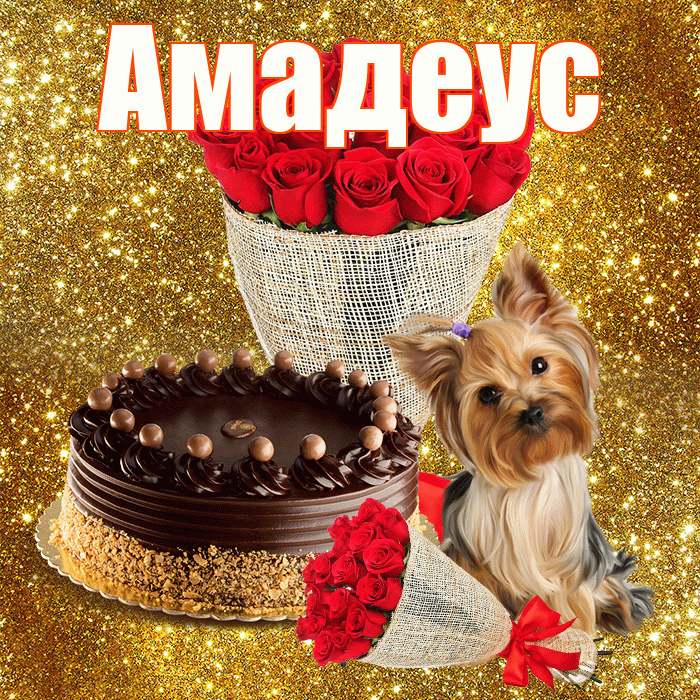 Амадеус! С первым днем весны! Красивая открытка Амадеусу!