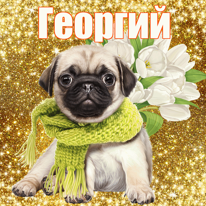 Георгий! С первым днем весны! Красивая открытка Георгию!