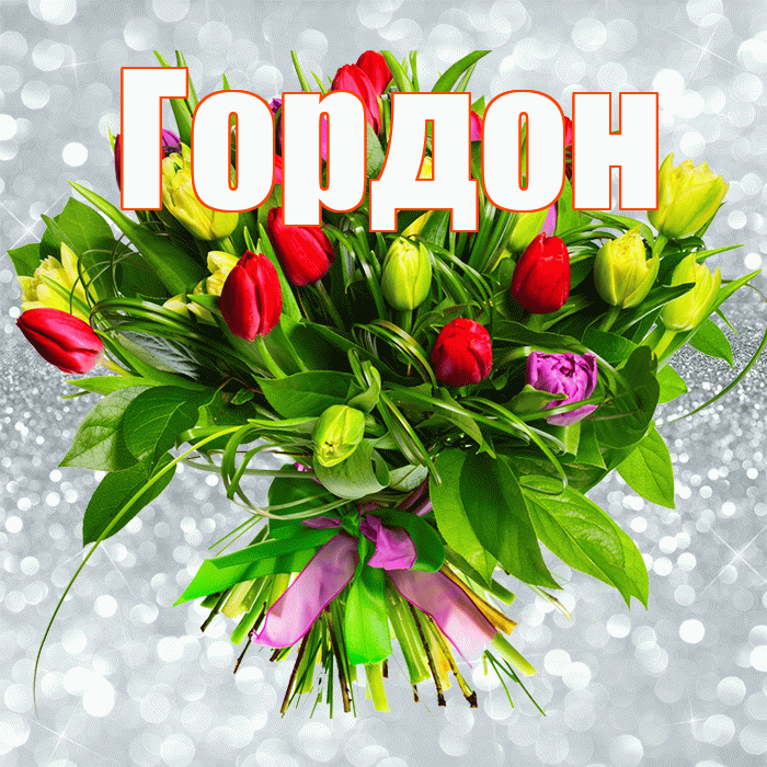 Гордон! С первым днем весны! Красивая открытка Гордону!