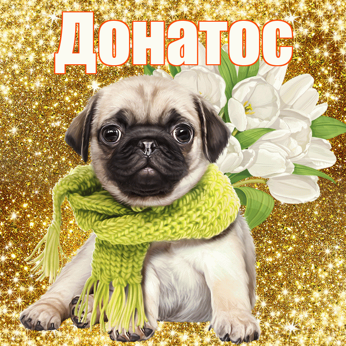 Донатос! С первым днем весны! Красивая открытка Донатосу!