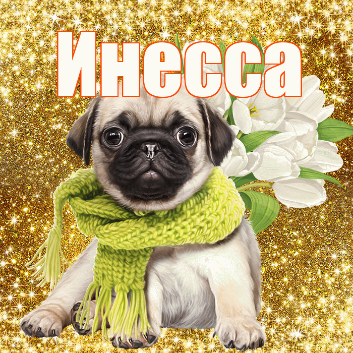 Инесса! С первым днем весны! Красивая открытка Инессе!