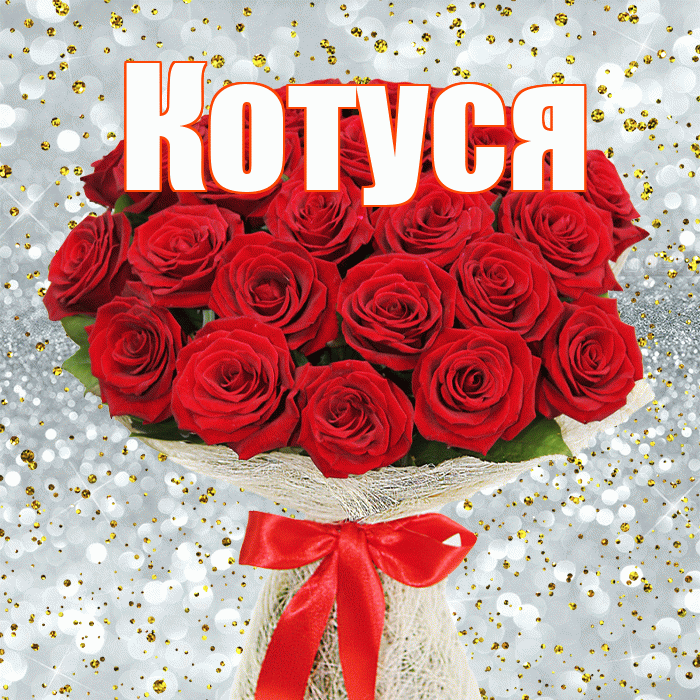 Котуся! С первым днем весны! Красивая открытка Котусе!