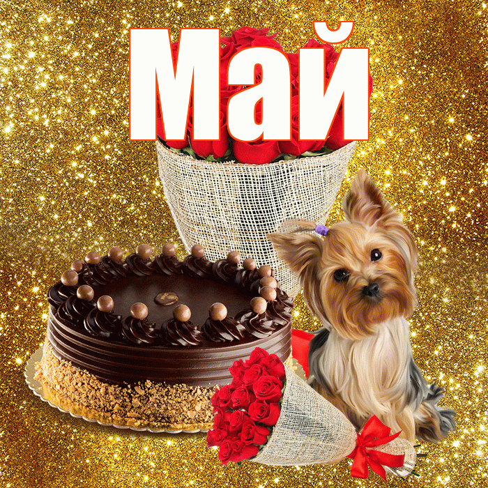 Май! С первым днем весны! Красивая открытка Маю!