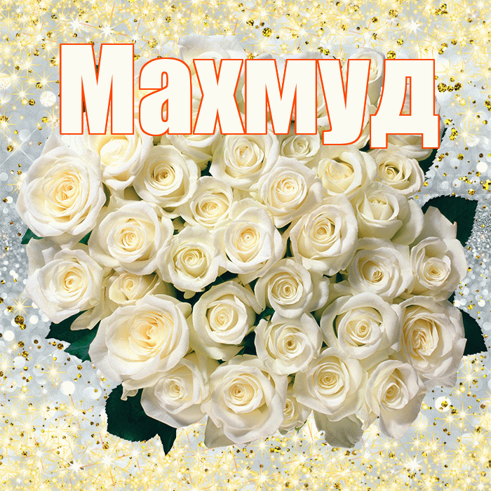 Махмуд! С первым днем весны! Красивая открытка Махмуду!