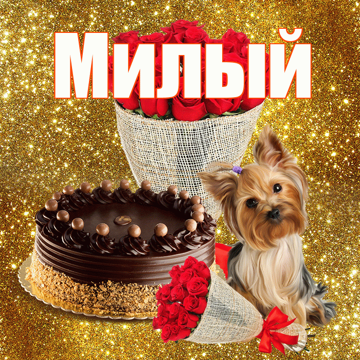 Милый! С первым днем весны! Красивая открытка Милому!