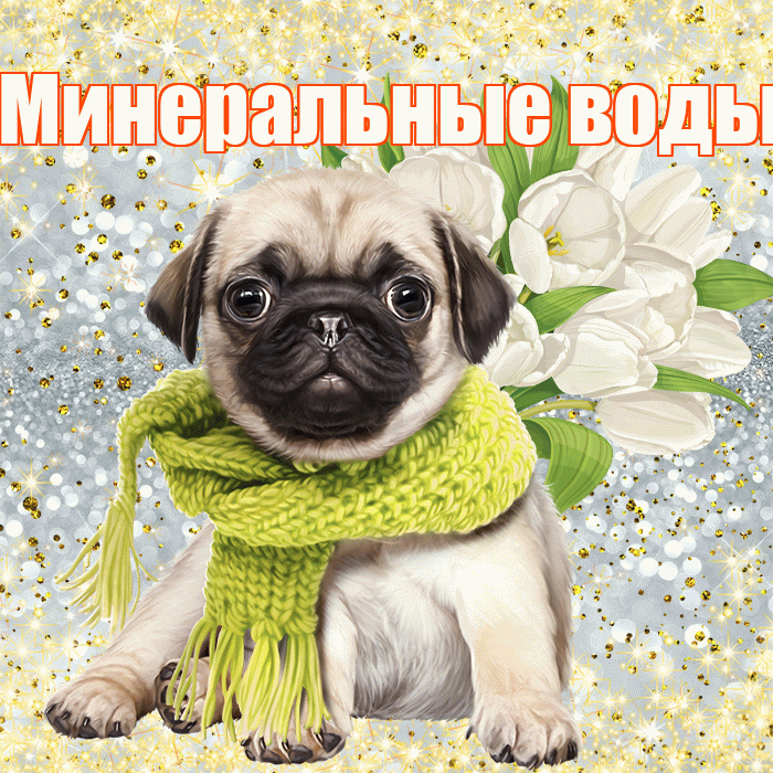 Минеральные воды! С первым днем весны! Красивая открытка !