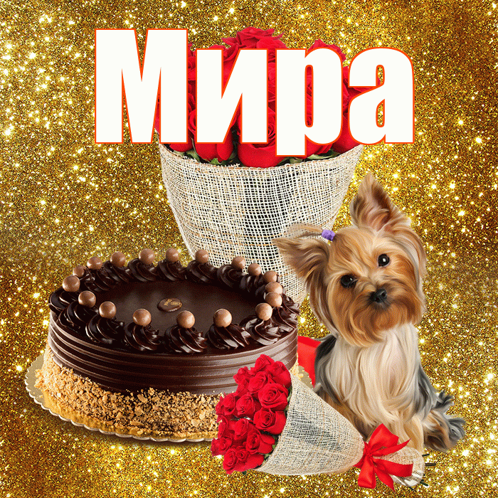 Мира! С первым днем весны! Красивая открытка Миру!