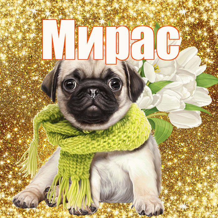 Мирас! С первым днем весны! Красивая открытка Мирасу!