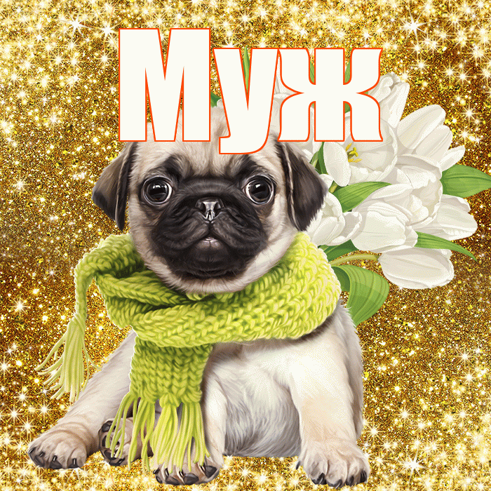 Муж! С первым днем весны! Красивая открытка Мужу!