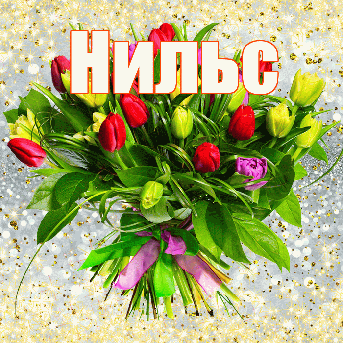 Нильс! С первым днем весны! Красивая открытка Нильсу!