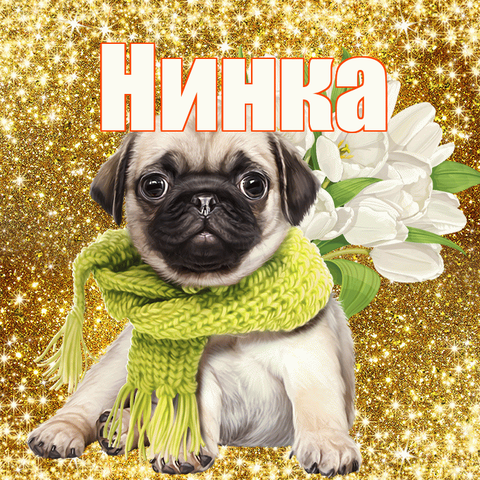 Нинка! С первым днем весны! Красивая открытка !