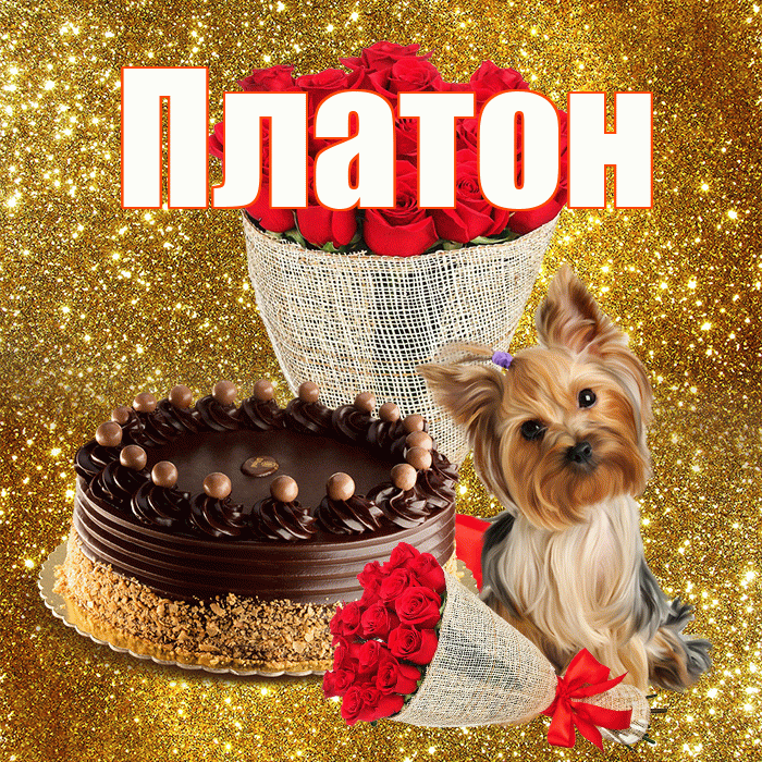 Платон! С первым днем весны! Красивая открытка Платону!