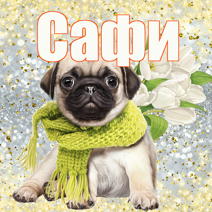 Сафи! С первым днем весны! Красивая открытка !