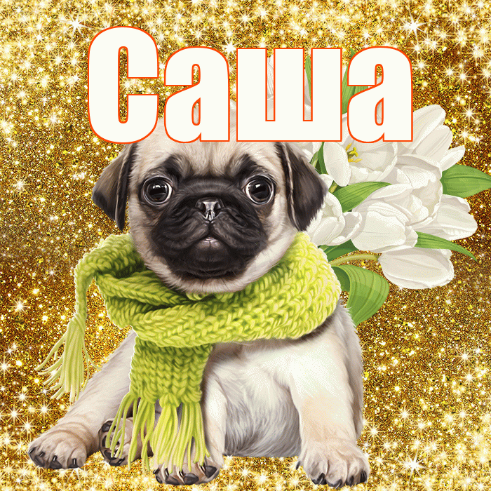 Саша! С первым днем весны! Красивая открытка Саше!