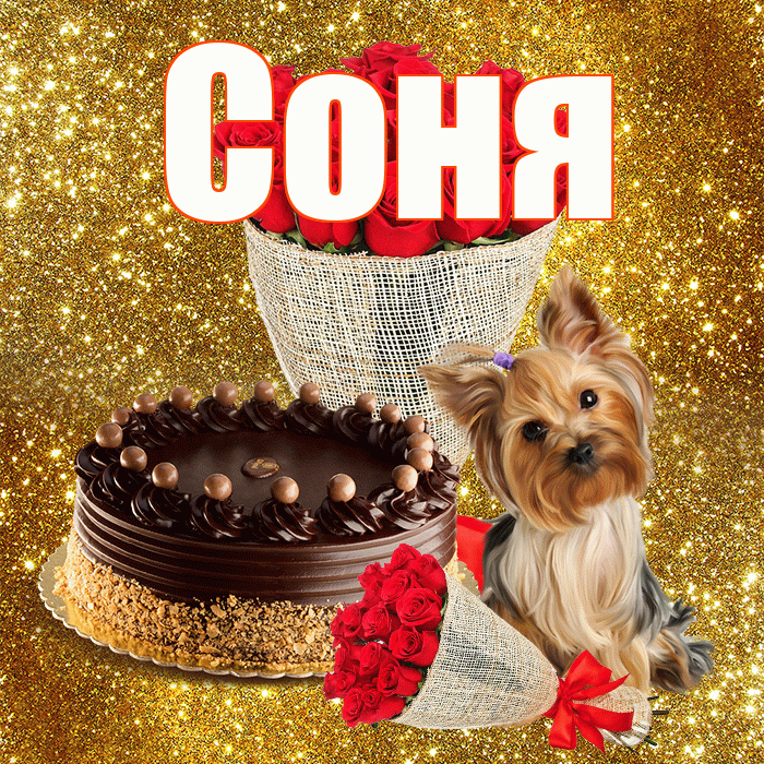 Соня! С первым днем весны! Красивая открытка Соне!