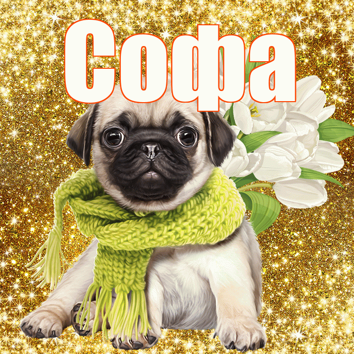 Софа! С первым днем весны! Красивая открытка Софе!