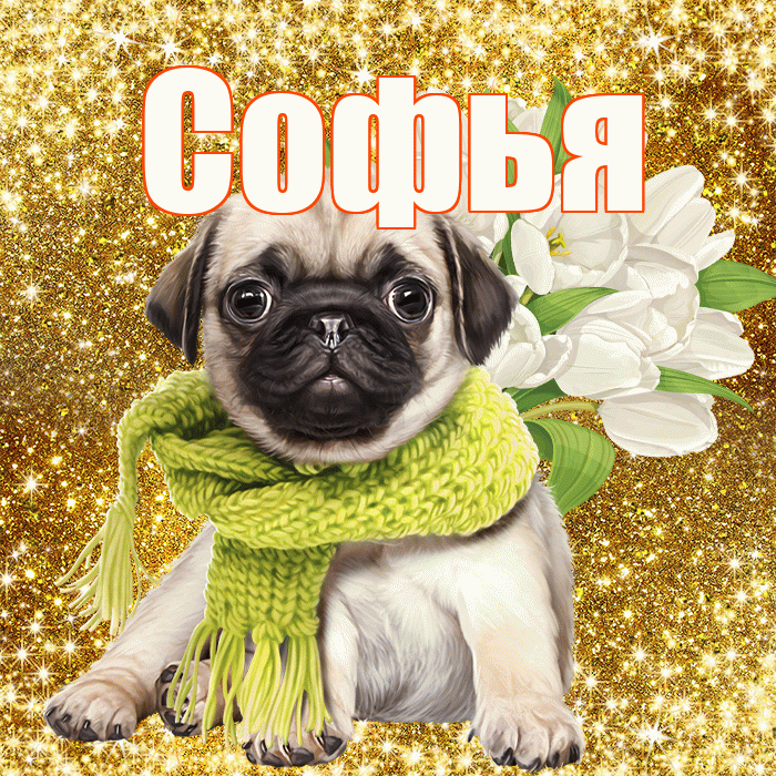 Софья! С первым днем весны! Красивая открытка Софье!