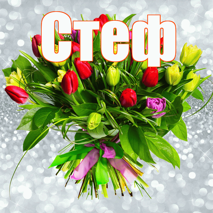 Стеф! С первым днем весны! Красивая открытка !