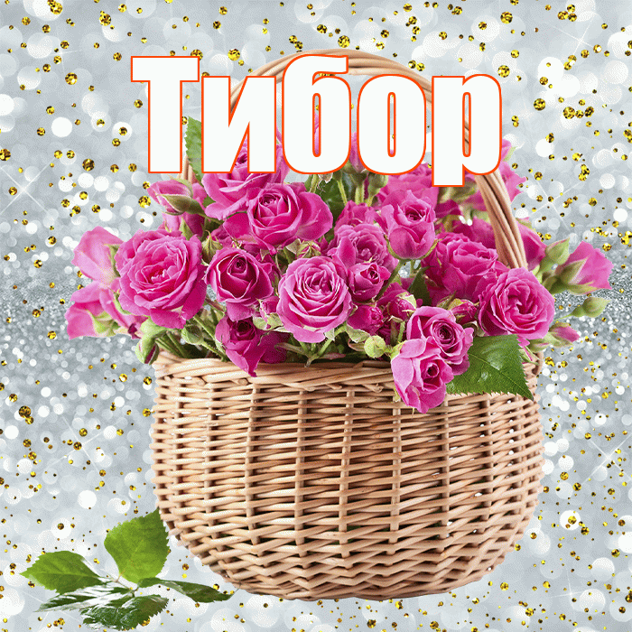 Тибор! С первым днем весны! Красивая открытка Тибору!