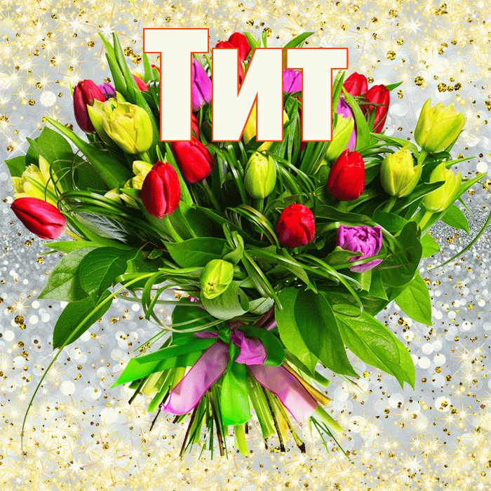 Тит! С первым днем весны! Красивая открытка Титу!