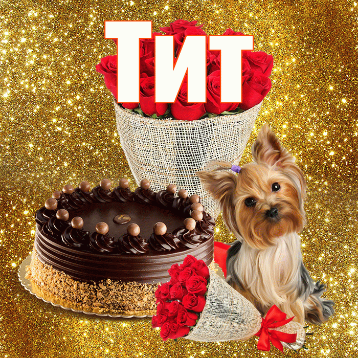 Тит! С первым днем весны! Красивая открытка Титу!
