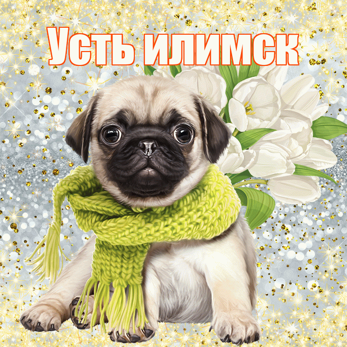 Усть илимск! С первым днем весны! Красивая открытка !