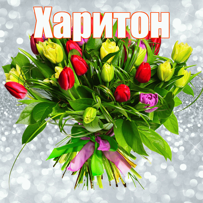 Харитон! С первым днем весны! Красивая открытка Харитону!