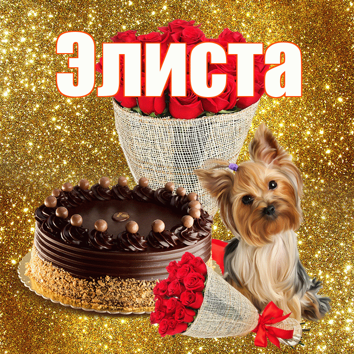 Элиста! С первым днем весны! Красивая открытка Элисте!