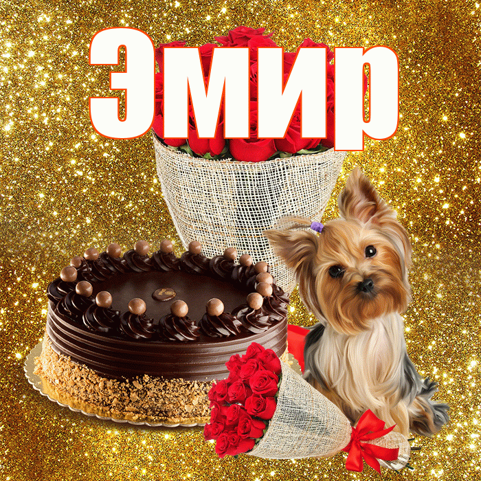 Эмир! С первым днем весны! Красивая открытка Эмиру!
