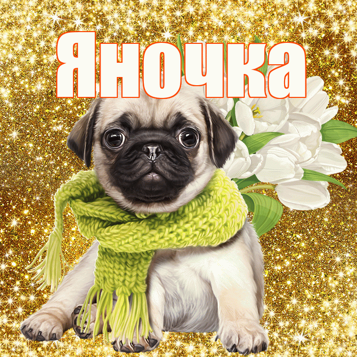 Яночка! С первым днем весны! Красивая открытка Яночке!