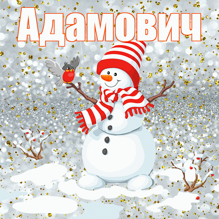Адамович! С первым днем зимы! Красивая открытка Адамовичу!
