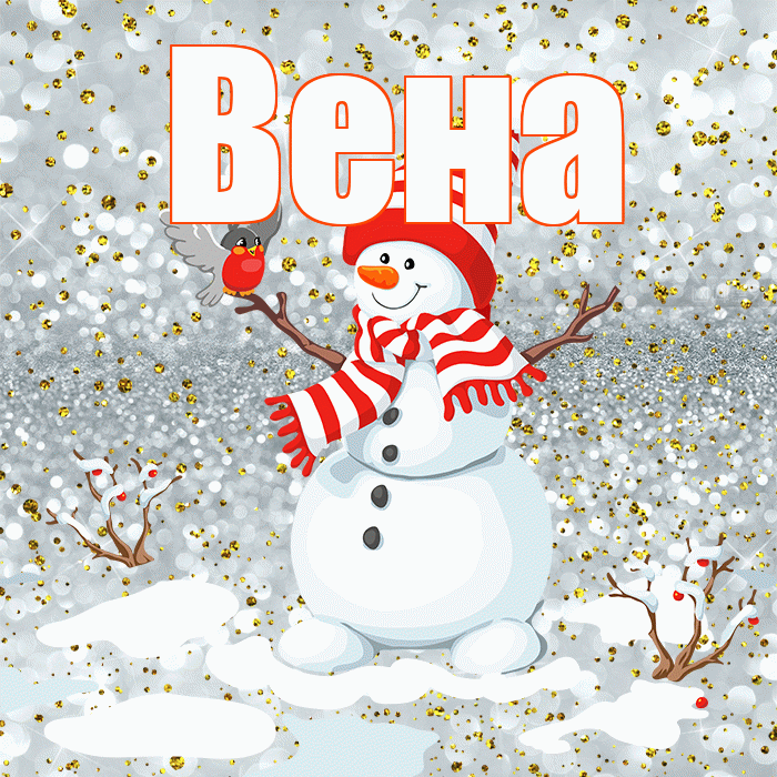 Вена! С первым днем зимы! Красивая открытка Вене!