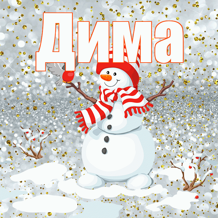 Дима! С первым днем зимы! Красивая открытка Диму!