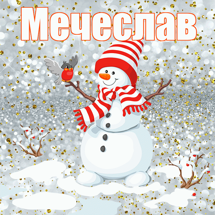 Мечеслав! С первым днем зимы! Красивая открытка Мечеславу!