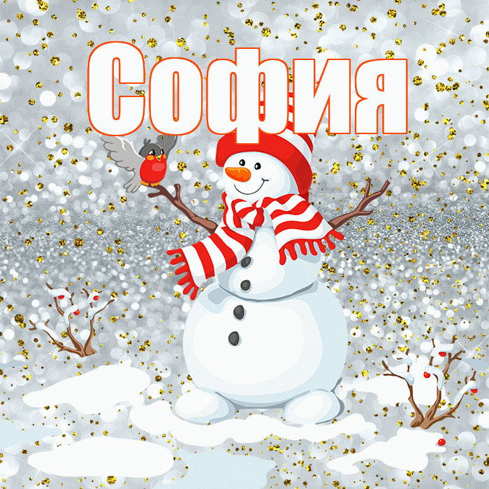 София! С первым днем зимы! Красивая открытка Софии!
