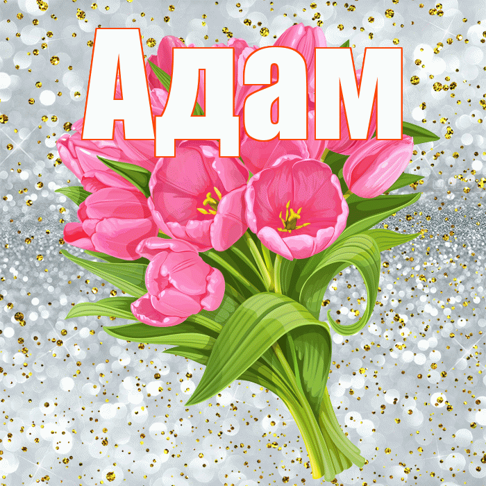 Адам! С прошедшим днем рождения! Красивая открытка Адаму!