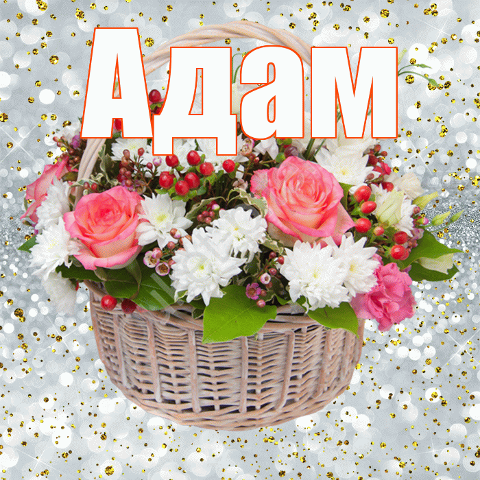 Адам! С прошедшим днем рождения! Красивая открытка Адаму!