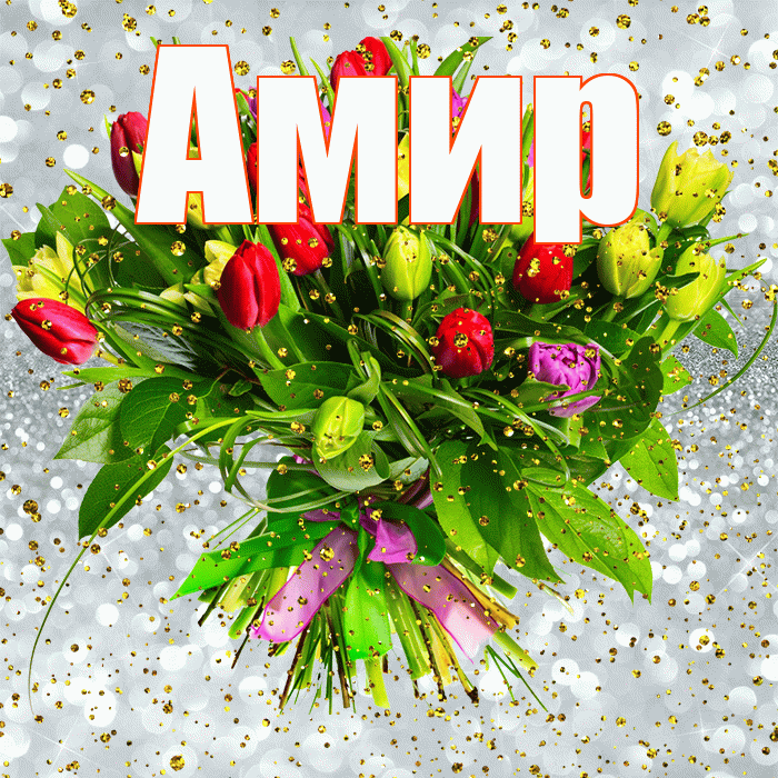 Амир! С прошедшим днем рождения! Красивая открытка Амиру!