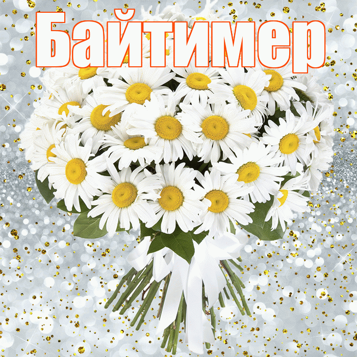 Байтимер! С прошедшим днем рождения! Красивая открытка Байтимеру!