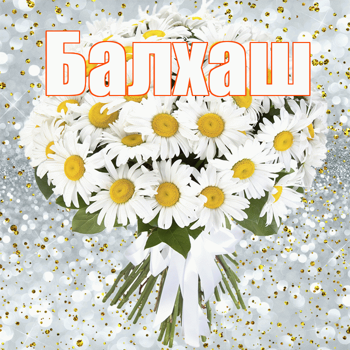 Балхаш! С прошедшим днем рождения! Красивая открытка Балхашу!